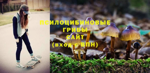 соль ск Армянск
