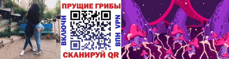 MEGA зеркало где можно купить Ладушкин Псилоцибиновые грибы прущие грибы